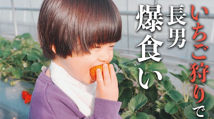 山名さんおすすめ回・「いちご狩りで長男爆食い」