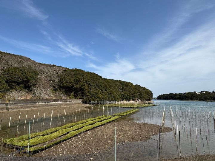 リアス海岸がアオサの生産に適することから、三重県は全国一の生産量を誇る。