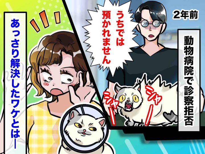 画像: 動物病院で「おたくの猫は凶暴なので、うちでは診察できません」と言われ愕然 → アッサリ解決した方法