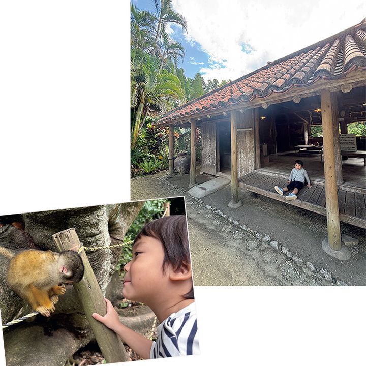 石垣やいま村でリスザルと触れ合う子ども