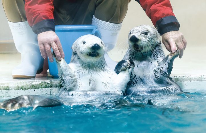2頭とも飼育員さんと大の仲良し。