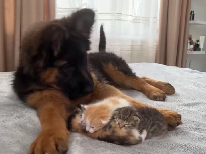 みんなでまったり…