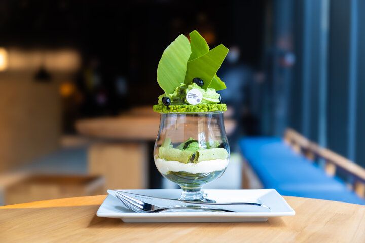 【NEW OPEN】JR大阪駅直結、グルメ＆温泉＆ホテル＆公園が集結した「グラングリーン大阪 南館」誕生