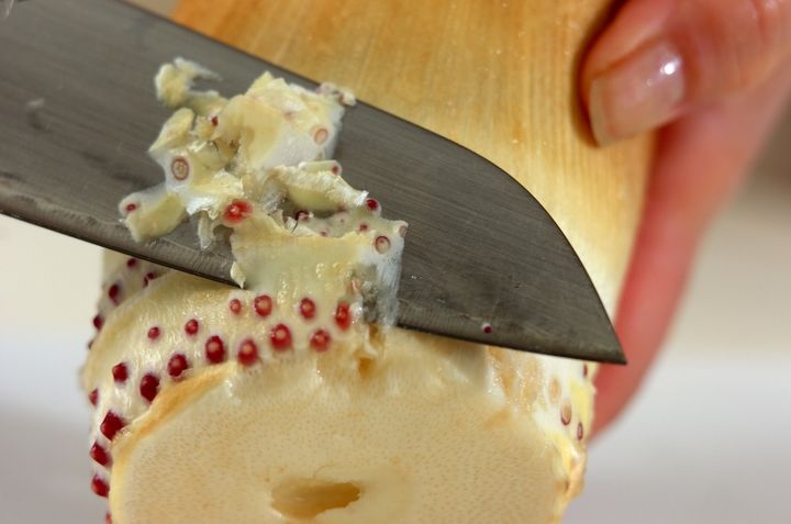 簡単！基本のタケノコの茹で方の作り方2