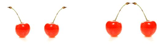 ただ並んでいるよりも、つながりがある方が「かわいい」と感じる!?