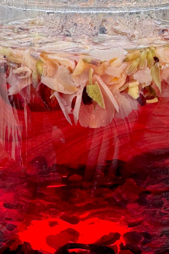 東京でおすすめのクレープ店◎ 春のお出かけにぴったり！緑あふれる空間で楽しむ【ささやかですてきなもの 大谷有紀 vol.229】