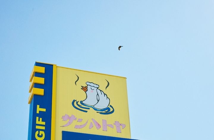 華やかな風情を日帰りでも体感できるハトヤの兄弟ホテル。