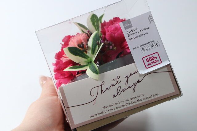プレゼントカーネーションポット