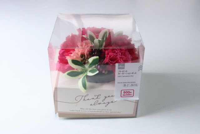 プレゼントカーネーションポット パッケージ