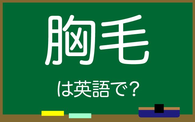 英語で【胸毛】は何て言う？「剃って」などの英語もご紹介