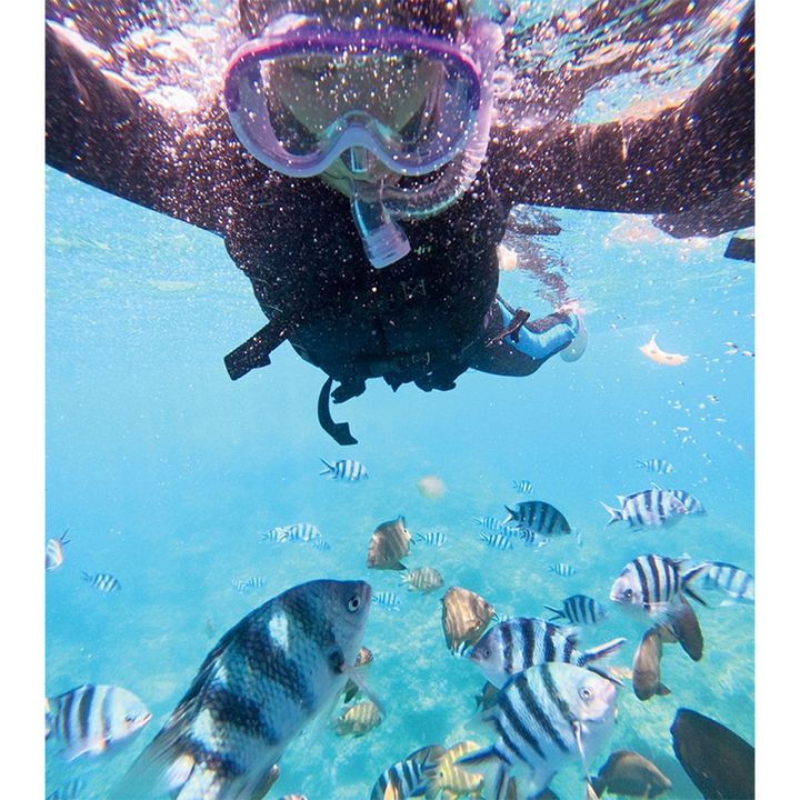 沖縄の海でシュノーケリングを楽しむ子ども