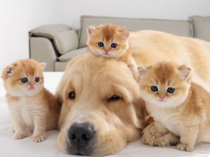 かわいすぎる空間…