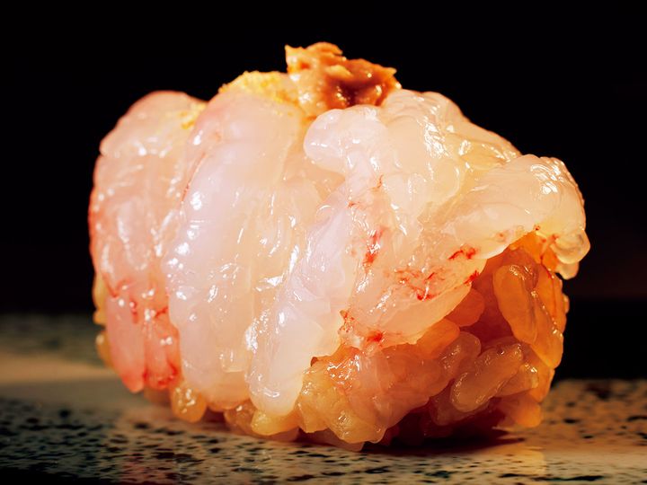 西荻窪『鮨 まるふく』のシマエビ