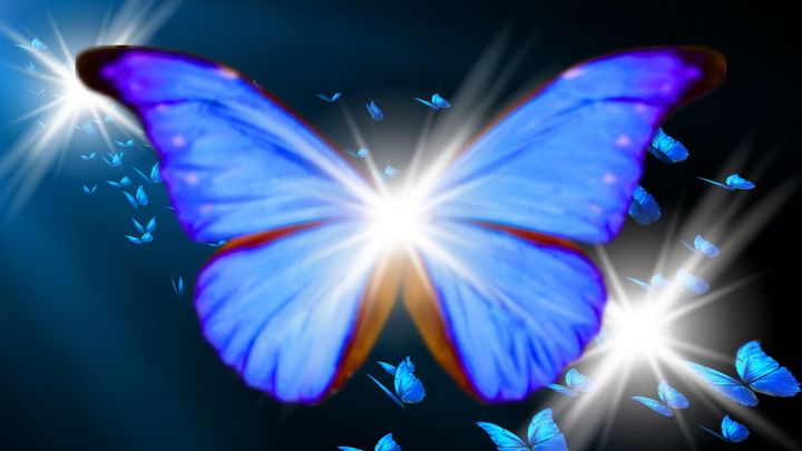 羽を広げる「量子蝶」を捉えることに成功！