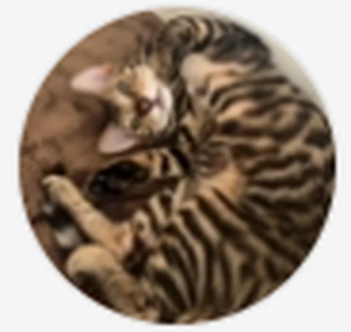 ピンクの秘めた可能性に出合う、ワントーンメイクの作り方【2025年春・大人のためのピンクメイクPART1】_1