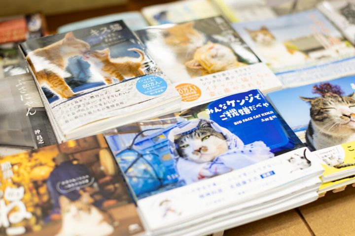 神保町にゃんこ堂