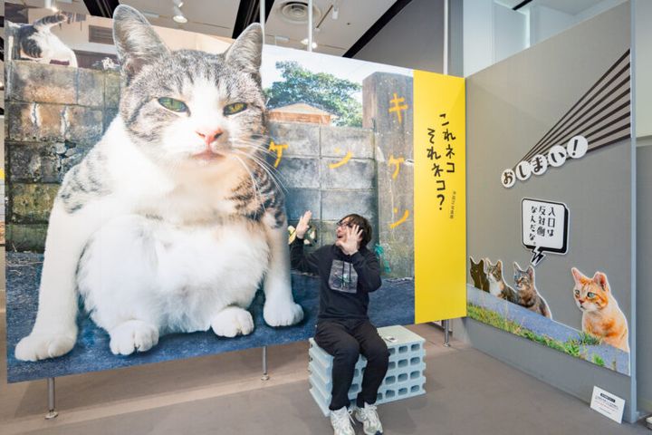 沖 昌之写真展「これネコ それネコ？」―にゃんだふるな日常―