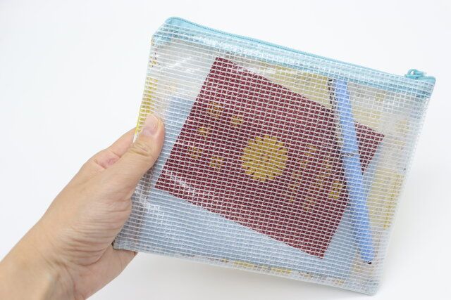 メッシュケース、B6サイズ（ドナルド＆フレンズ）DC8 見やすい