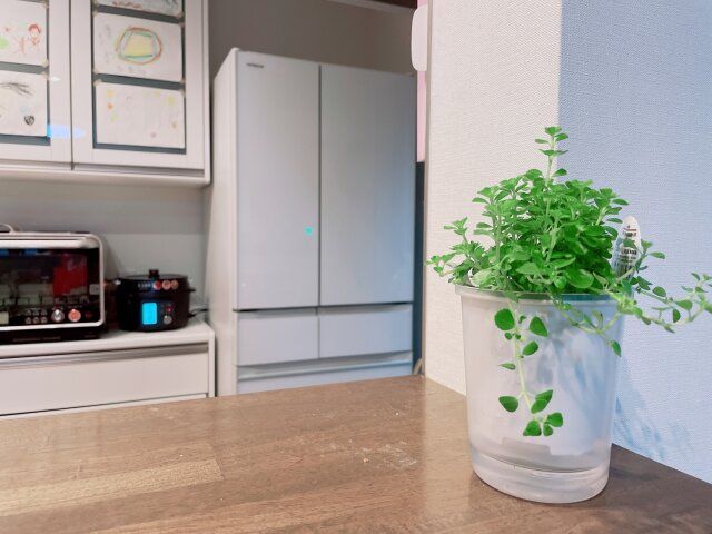 風水 春 開運アクション