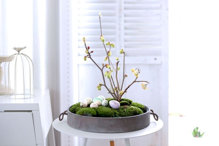 盆栽風イースターアレンジ