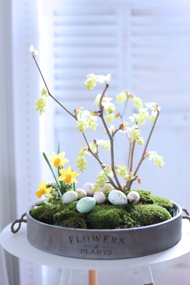 盆栽風イースターアレンジ
