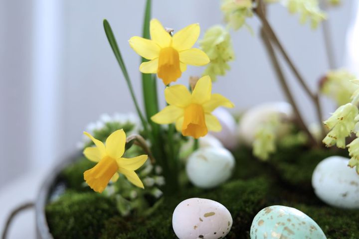 盆栽風イースターアレンジ