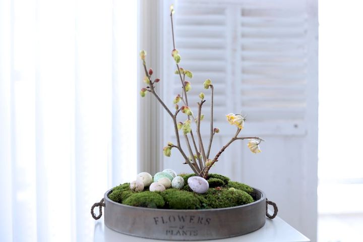 盆栽風イースターアレンジ