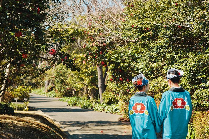 伊豆大島で行われる春の「椿まつり」