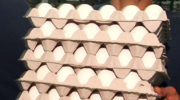 日本人の元同僚、プロの試合で活躍した結果、大量の卵を貰う！そのワケとは