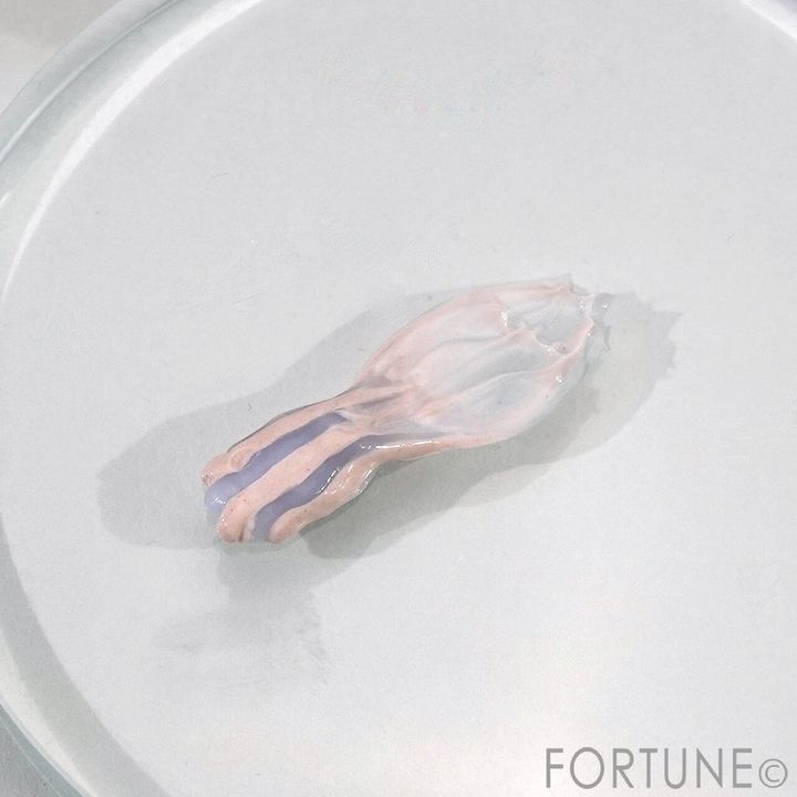 INNISFREE （イニスフリー） ヴォルカニック ...