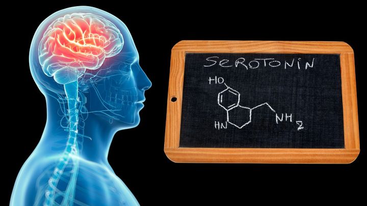 世界で最も一般的な鎮痛薬が「心の怖さ」を消し去りリスクをとらせる