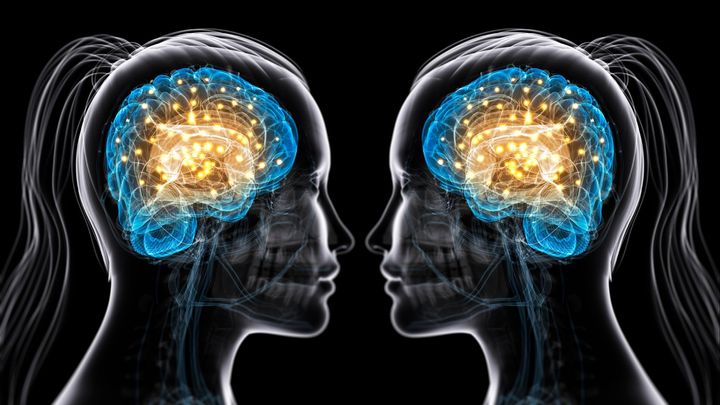 世界で最も一般的な鎮痛薬が「心の怖さ」を消し去りリスクをとらせる