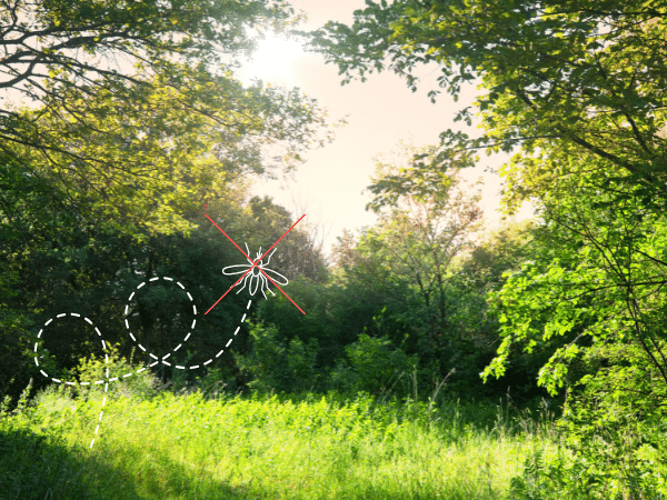 上級者は必ずやってる！誰でも簡単にできる春キャンプのトラブル対策が神すぎた！