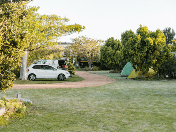 上級者は必ずやってる！誰でも簡単にできる春キャンプのトラブル対策が神すぎた！