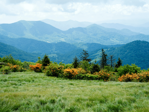 上級者は必ずやってる！誰でも簡単にできる春キャンプのトラブル対策が神すぎた！
