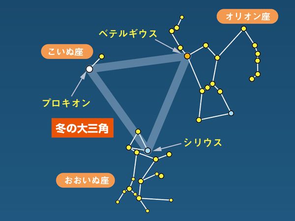 星空観察には何が必要なの？初心者にもおすすめ！編集部厳選アイテムを紹介！