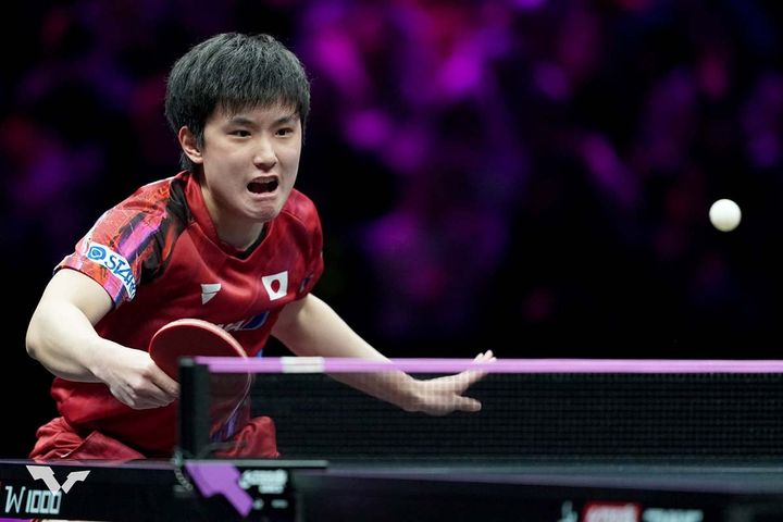 張本智和（C）WTT