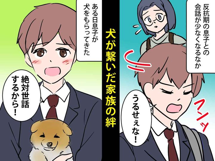 画像: 反抗期息子との心の隔たりに悩む日々 → ある日息子が「犬を飼いたい」と親に頭を下げてきて！？