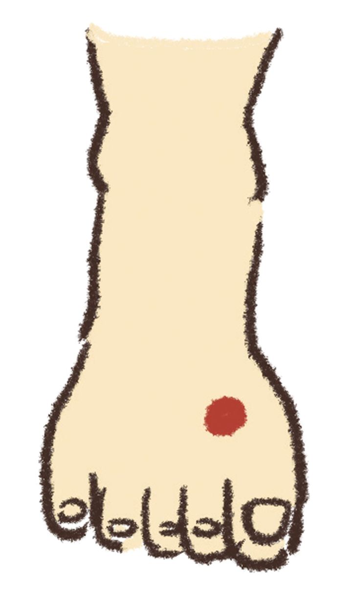 こまめに押したい免疫ケアに役立つツボのひとつ、太衝