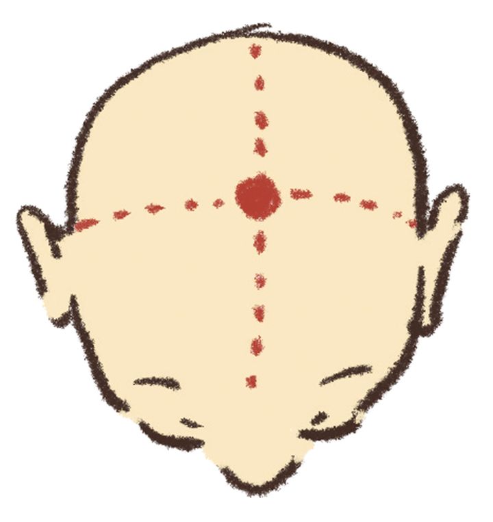 こまめに押したい免疫ケアに役立つツボのひとつ、百会