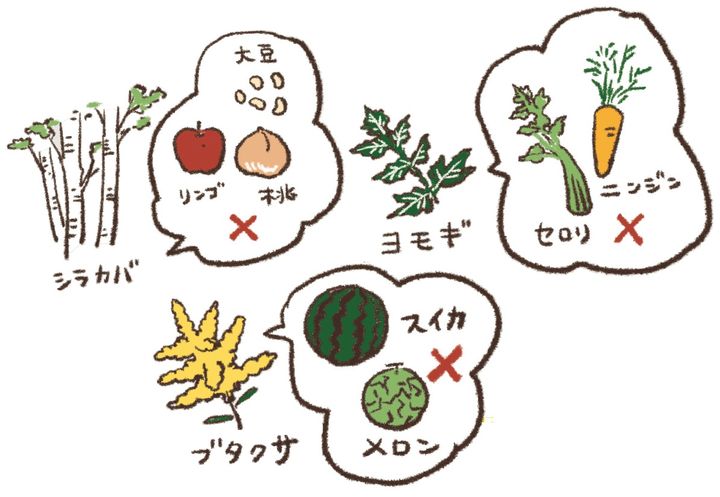 花粉症の人に注意してほしいのが、花粉・食物アレルギー症候群