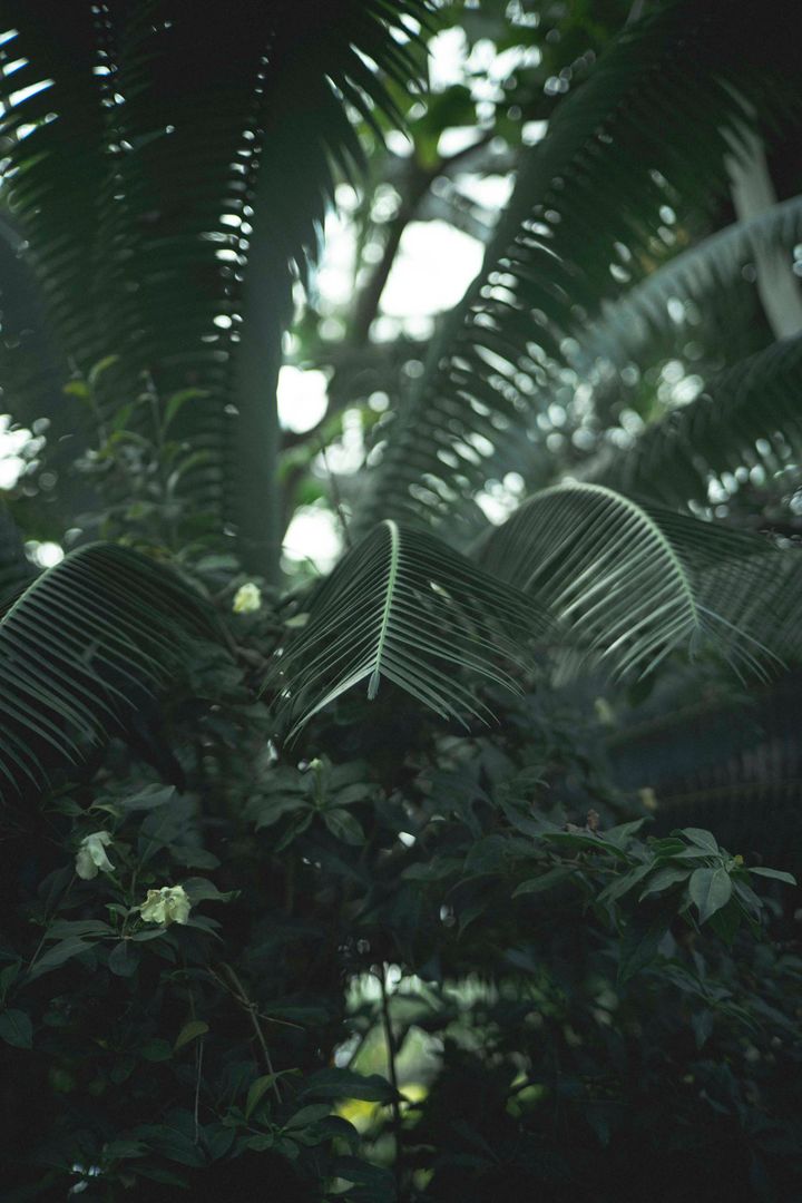 〈mood〉2025年の真冬の話【FUDGENA SPECIALIST：7Aのうれしいよそおい通信 vol.38