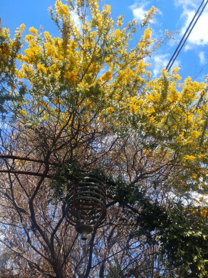 MOＫICH TRATTORIA」