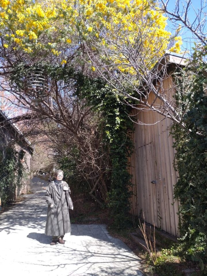 MOＫICH TRATTORIA」