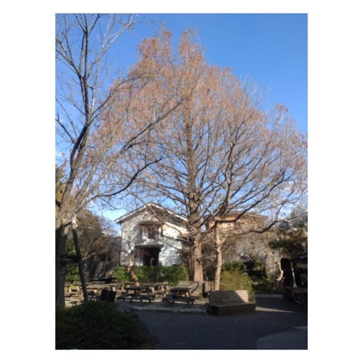 MOＫICH TRATTORIA」