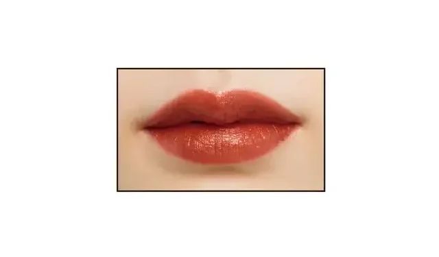 クレ・ド・ポー ボーテ ルージュアレーブル エブルイサン 313 Go-Boldly Bronze