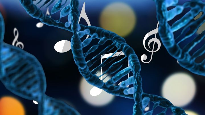 音楽を楽しむ力の54%はDNAが決めている