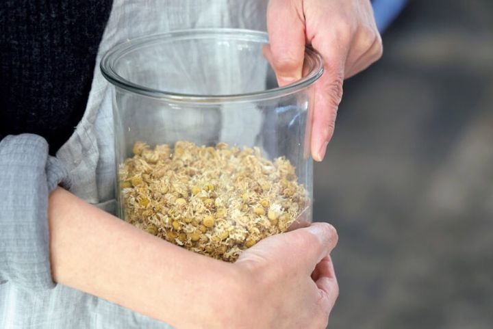 淹れているのは、長田さんの自家製のカモミールティー。