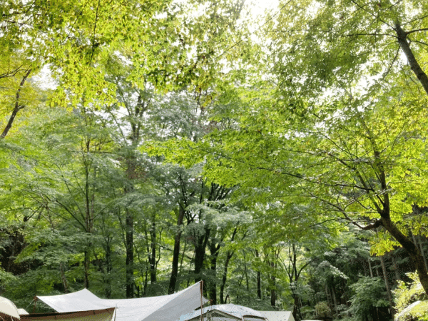 春キャンプは強風に要注意！安全に楽しむためのやるべき対策術とは？