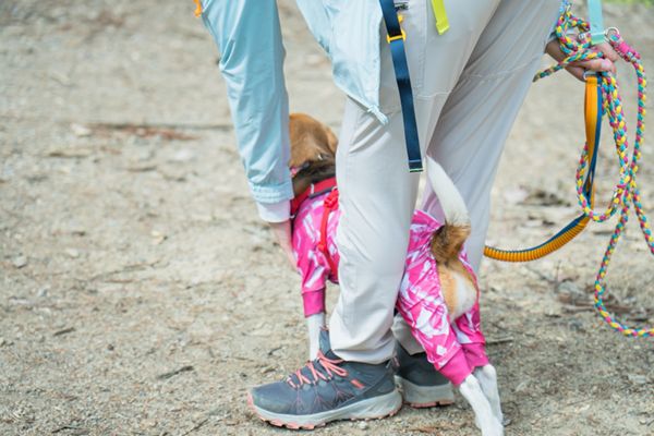 知らないと損！愛犬と一緒にアウトドアを楽しむためのテクニックとは？